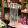 Vase transparent – Image 3