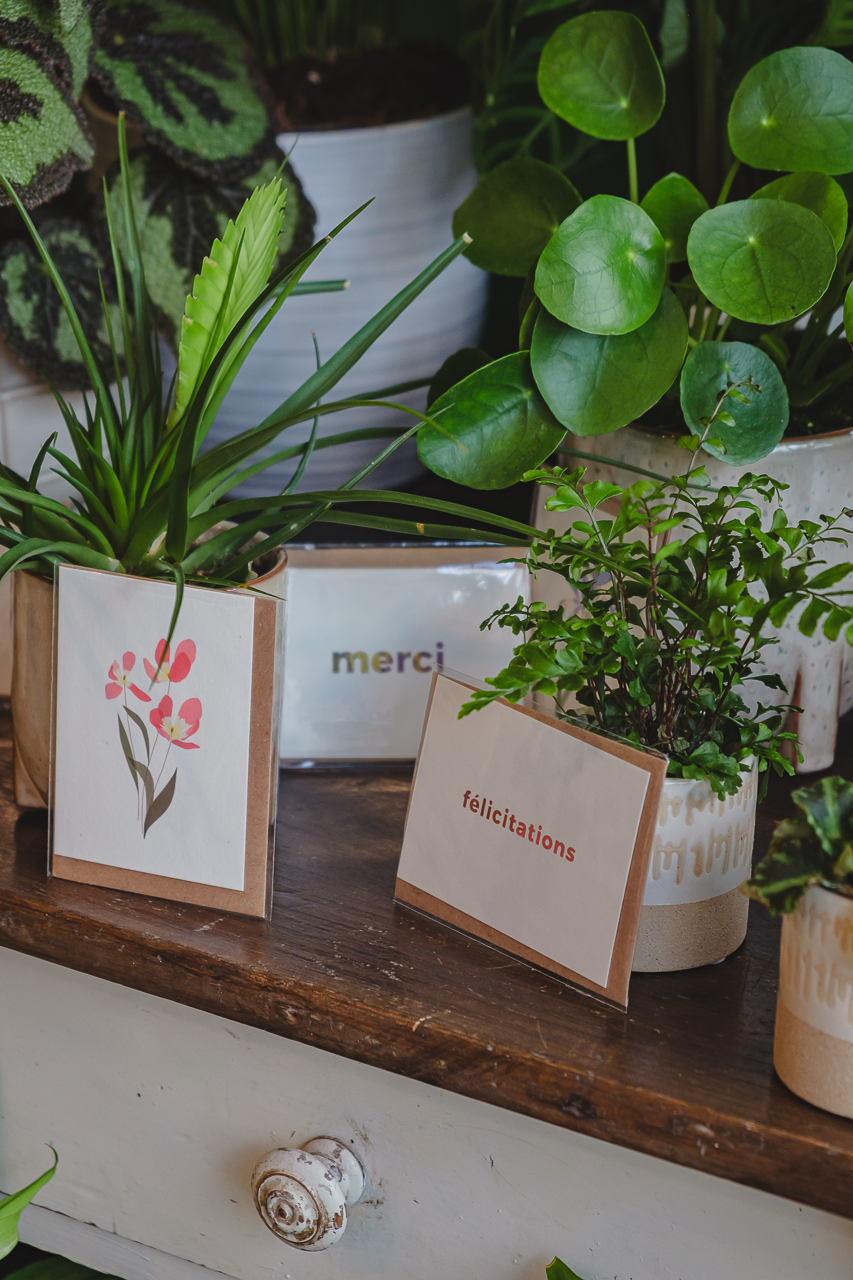 Cartes messages