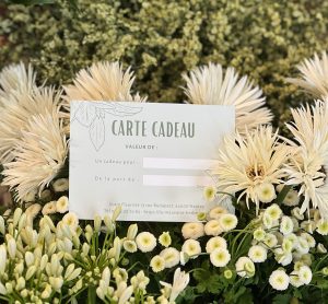 Carte Cadeau