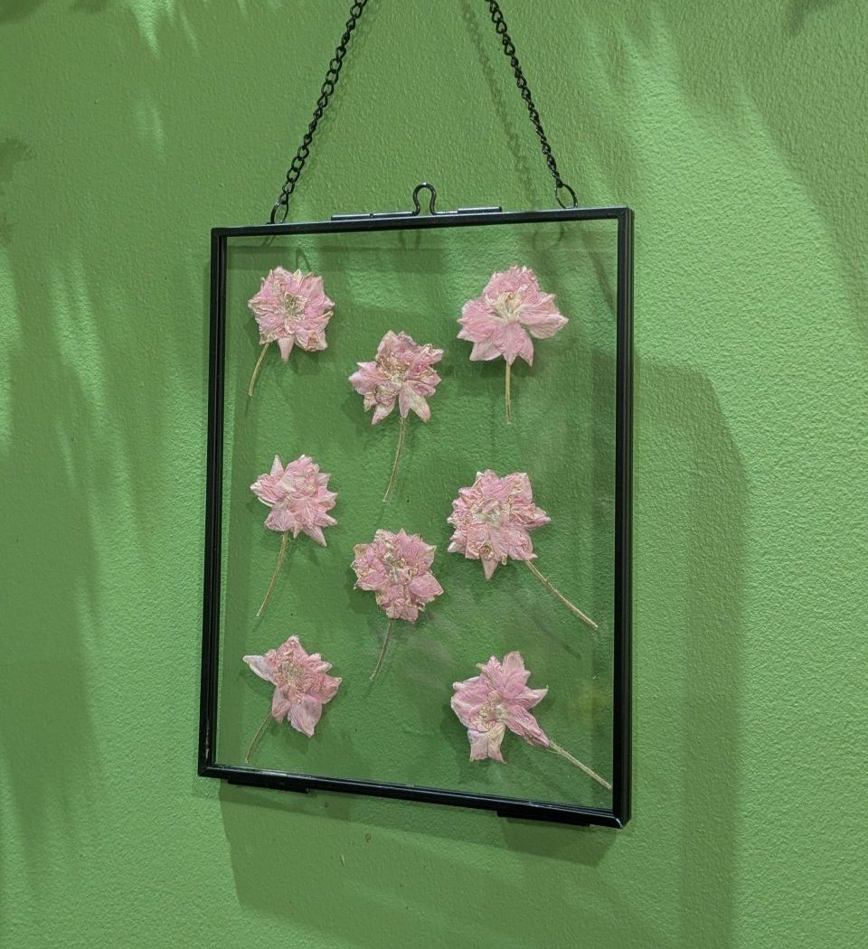 Cadre fleuri Delphinium rose