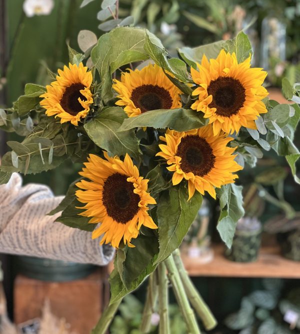 Bouquet de tournesols – Fleurs de Saison