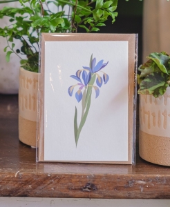 Carte message Iris